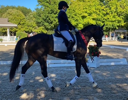 LuvMe LuvMeNot LuvMe